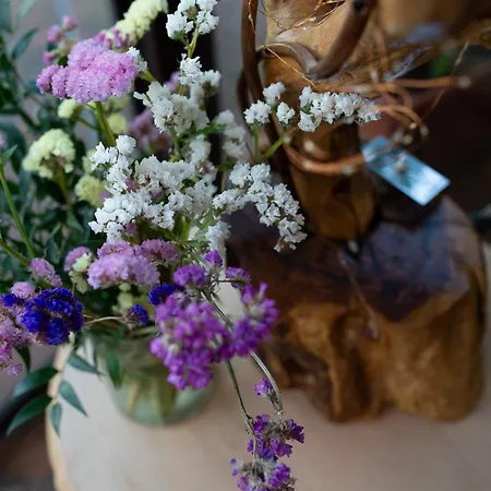 Bed & Breakfast Le Colombaie Country Ponsacco